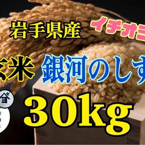 お米　玄米【岩手県産玄米銀河のしずく30kg 】6年連続特A評価を獲得しました！　白くて艶やか♪