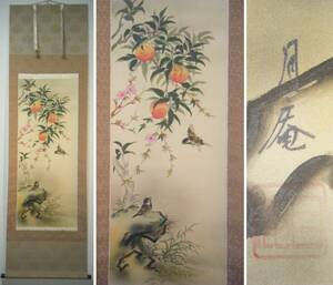 Art hand Auction [Authentic work] Hanging scroll Imai Getsuan Good Luck Three Peach Painting Popular Artist Standard Work Boxed M112, painting, Japanese painting, flowers and birds, birds and beasts