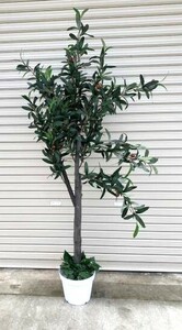 光触媒人工観葉植物オリーブ 造花植物 人工植物 フェイクグリーン　高さ：H155㎝