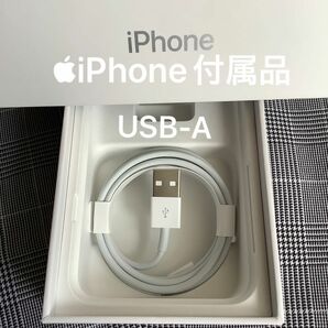 Apple iPhone 充電器　USB ライトニングケーブル