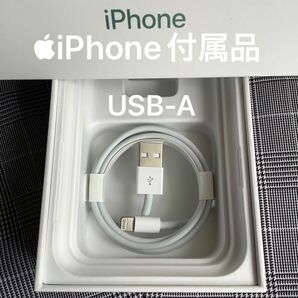 Apple iPhone充電器 USBケーブル