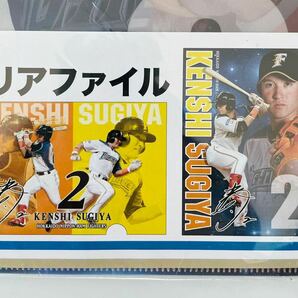 杉谷挙士 クリアファイル 2枚セット A4 ファイターズ 日本ハム オフィシャル グッズ SUGIYA KENSHI HOKKAIDO NIPPON-HAM FIGHTERS の画像4