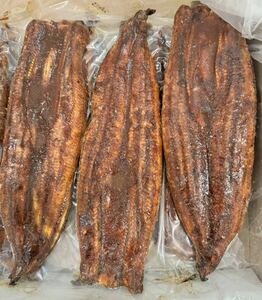 u.. eel . roasting extra-large size bulk buying China production 15 tail go in 5 kilo 