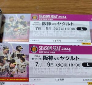 2024/07/09　阪神VSヤクルト　レフトスタンド　2連番　甲子園球場