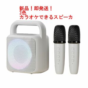 スピーカー Bluetooth ワイヤレスマイク 2本 カラオケセット家庭用 車載　充電式 マイク 録音USB/TF　パーティー