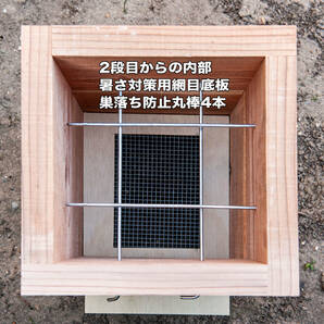 日本みつばち巣箱 底板2タイプ（夏冬交換）3段重箱 まち箱 巣落ち、スムシ、暑さ対策、あかりんダニ対策 の画像3