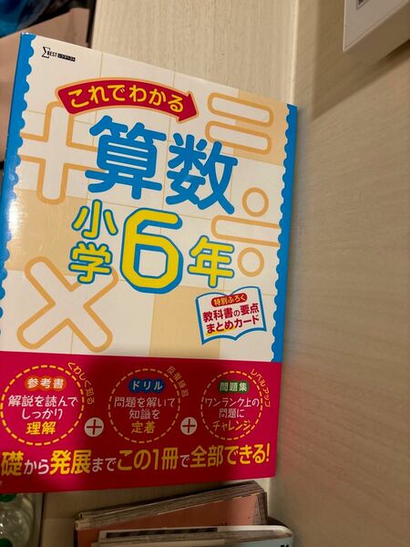 これでわかる算数小学6年 (小学これでわかる)