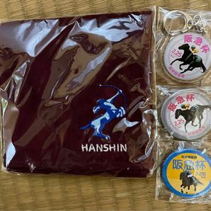 （非売品）タオルハンカチ　阪神競馬場バージョン　セントウル刺繍（ウェルカムチャンス当選品）　阪急杯缶バッジ二個　キーホルダー１個