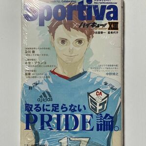 未開封　ハイキュー ショーセツバン　及川徹　13巻