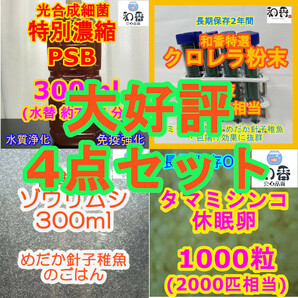 実績No1★送料安★生餌4点 ゾウリムシ300ml＆PSB300ml＆タマミジンコ休眠卵1000粒&粉末生クロレラ 針子稚魚めだか金魚グッピーバクテリア餌の画像1