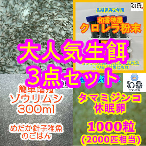 実績No1★送料安★大人気生餌3点 ゾウリムシ300ml＆タマミジンコ休眠卵1000粒&粉末生クロレラ 稚魚用 めだか金魚グッピーの餌エサえさPSBの画像1