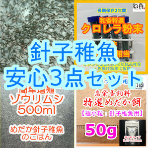 送料安★針子稚魚安心3点 ゾウリムシ500ml&粉末生クロレラ&特選粉餌50gセット 針子稚魚用 めだか金魚グッピーの餌エサえさミジンコ生餌の画像1