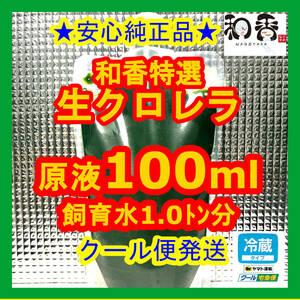 クール便★和香特選生クロレラ100ml★即日発送★ミジンコめだか金魚らんちゅうの餌 針子稚魚の青水作 ワムシゾウリムシ生餌ミドリムシ