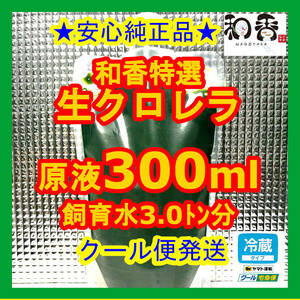 クール便★和香特選生クロレラ300ml★即日発送★ミジンコめだか金魚らんちゅうの餌 針子稚魚の青水作 ワムシゾウリムシ生餌ミドリムシ