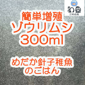 実績No1★送料安★生餌4点 ゾウリムシ300ml＆PSB300ml＆タマミジンコ休眠卵1000粒&粉末生クロレラ 針子稚魚めだか金魚グッピーバクテリア餌の画像2