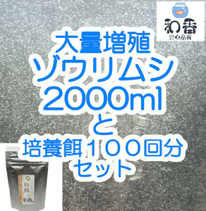 ゾウリムシ 種水2000ml+培養餌100回分のセット★大増殖・100回分餌付★ めだかグッピーベタシュリンプ金魚の稚魚 ミジンコ 生餌クロレラ