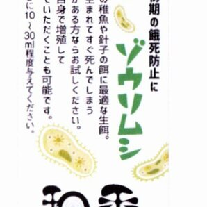 送料無料★ゾウリムシ 種水500ml+培養餌100回分のセット めだかグッピーベタ金魚の稚魚シュリンプの生餌 ミジンコクロレラPSB同梱可の画像4