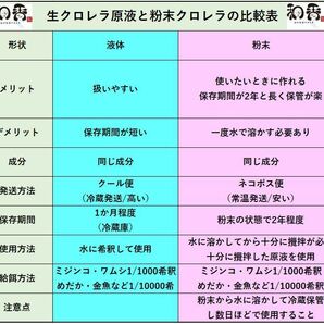 和香特選粉末生クロレラ100ml作成用★送料220円★ミジンコめだか金魚らんちゅうの餌針子稚魚の青水作 ワムシゾウリムシ生餌ミドリムシの画像2