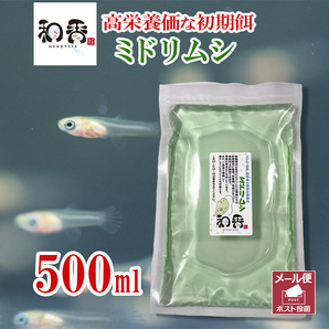 即日発送・送料安 植物性微生物 ミドリムシ500ml ユーグレナ 関連：めだかグッピーベタ金魚熱帯魚両生類など生クロレラグリーンウォーターの画像1