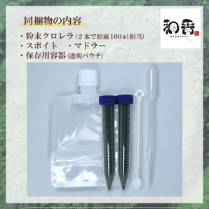 和香特選粉末生クロレラ100ml作成用★送料220円★ミジンコめだか金魚らんちゅうの餌針子稚魚の青水作 ワムシゾウリムシ生餌ミドリムシの画像3