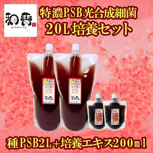 PSB光合成細菌20L培養セット バクテリア めだか らんちゅう 金魚 熱帯魚 グッピーに最適 ミジンコゾウリムシクロレラ培養