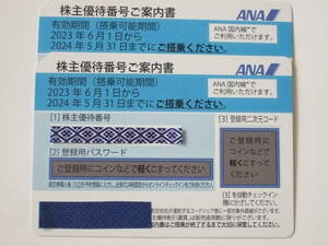 パスワード通知のみ ANA 全日空 株主優待券 2枚 搭乗期限2024年5月31日まで