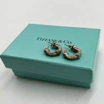 TIFFANY&Co. ティファニー バンブー ピアス 1996 SV925 シルバー アクセサリー 箱付き_画像1