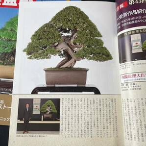 近代盆栽 3冊セット 近代出版 月刊近代盆栽の画像3