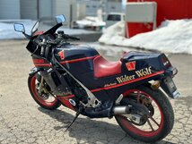 ●超希少! 始動OK! 圧縮OK! SUZUKI スズキ GJ21B ガンマ250 3型 1985年モデル　ウォルターウルフ 並列２気筒 2スト ヴィンテージ 札幌発_画像6