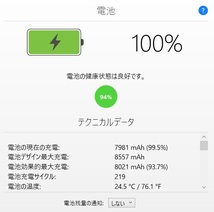 【本体・ペン・付属品フルセット／電池94%／完動】iPad第7世代32GB／シルバー／Wi-Fiモデル_画像10