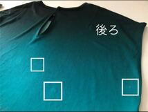 AKRIS アクリス 馬プリント シルク カットソー ブラウス トップス ホース Tシャツ 絹100% ノースリーブ ブルー グリーン LサイズIT42_画像8