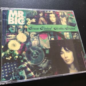 輸入盤シングル　Green Tinted Sixties Mind / MR. BIG / ポール・ギルバート　エリック・マーティン / 60's マインド / ミスタービッグ