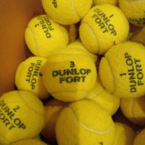 ★美品71球★ DUNLOP FORT ダンロップフォート テニスボール 硬式 硬式テニスボール ダンロップ テニス ボール 試合用 練習用の画像4