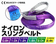 【送料無料】スリングベルト 耐荷重2.0t 2000kg 長さ1m×幅50mm Iタイプ CEマーク取得 荷吊 荷揚 牽引 玉掛け ナイロン スリング ベルト_画像2