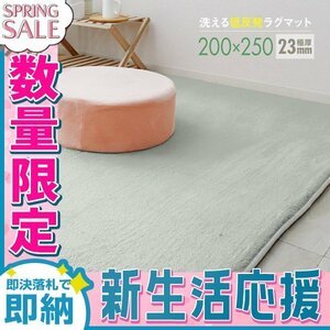 【新生活セール】ラグ カーペット ラグマット Lサイズ 200x250cm 極厚23mm 3.2畳 床暖房 抗菌 防ダニ 低反発 絨毯 リビング マット 薄灰