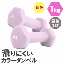 【2個セット/ライラック】滑りにくい カラー ダンベル 1kg 筋トレ エクササイズ 宅トレ シンプル ウエイトトレーニング ダイエット 新品_画像1