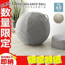 【限定セール】新品 ファブリック バランスボール 65cm おしゃれ 空気入れ付き ヨガ 体幹 エクササイズ 筋トレ ダイエット テレワーク_画像1