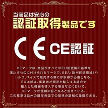 【限定セール】10個セット レバーホイスト 定格荷重0.25t 250kg チェーンホイスト TUV認証済 玉掛け ジャッキ ガッチャ チェーンブロック_画像5