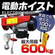 新品未使用 電動ホイスト 100V 最大600kg コントローラー付き 簡単設置 クレーン ホイスト ウインチ 吊り上げ 吊り下げ 倉庫 業務 家庭用_画像1