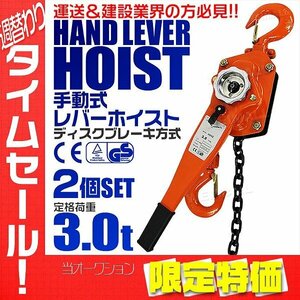 【限定セール】2個セット 新品 レバーホイスト 定格荷重3t 3000kg チェーンホイスト 荷締め機 CE TUV認証済 チェーンブロック 玉掛け 牽引