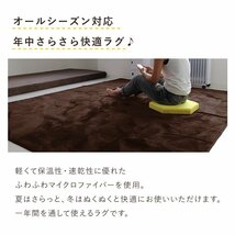 ラグ カーペット ラグマット Sサイズ 130x185cm 1.5畳 厚手 床暖房 低反発 絨毯 北欧 リビングマット 滑り止め 春 夏 秋 冬 アイスグレー_画像3