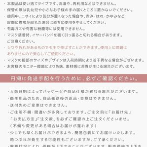 【セール】アイスグレー 接触冷感 バイカラー 立体 3D 不織布マスク 20枚入り Lサイズ 血色カラー 感染症 花粉症 対策 JewelFlapMaskの画像10