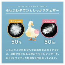 【限定セール】ウォッシャブル ダウンケット 洗える羽毛布団 シングル 羽毛 肌布団 夏用 ホワイトダウン50％ 抗菌防臭 オールシーズン_画像5