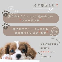 2WAY ペットステップ すべり止め付 ペットベッド ワイドタイプ スロープ 階段 ペット 負担軽減 犬 猫 小型犬 中型犬 老犬 ドッグステップ_画像3