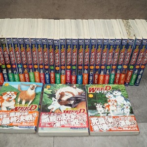 日本文芸社 銀牙伝説WEEDオリオン 全巻セット 全30巻高橋よしひろ１、２４、２５巻水濡れ状態×の画像1