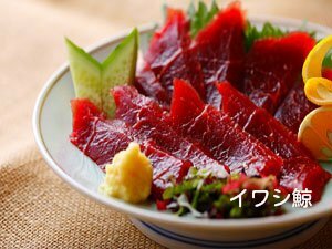 イワシ鯨　刺身用鯨肉　500g　くじら　クジラ