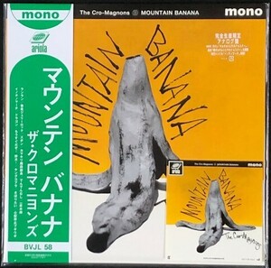 ☆ザ・クロマニヨンズ 「マウンテンバナナ MOUNTAIN BANANA」 完全生産限定盤 アナログ・レコード LP盤 ステッカー付 新品 未使用