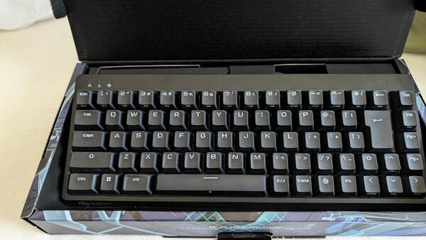 ELECOM エレコム VK200S 銀軸 ゲーミングキーボード