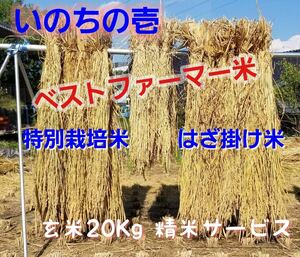 令5年南信州産　はざ掛け米　特別栽培米【いのちの壱】玄米20Ｋｇ（精米サービス）