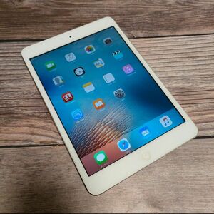 iPad mini 第一世代 16GB 超美品